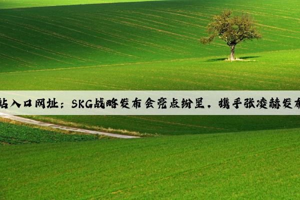 kaiyun官方网站入口网址：SKG战略发布会亮点纷呈，携手张凌赫发布多款创新产品